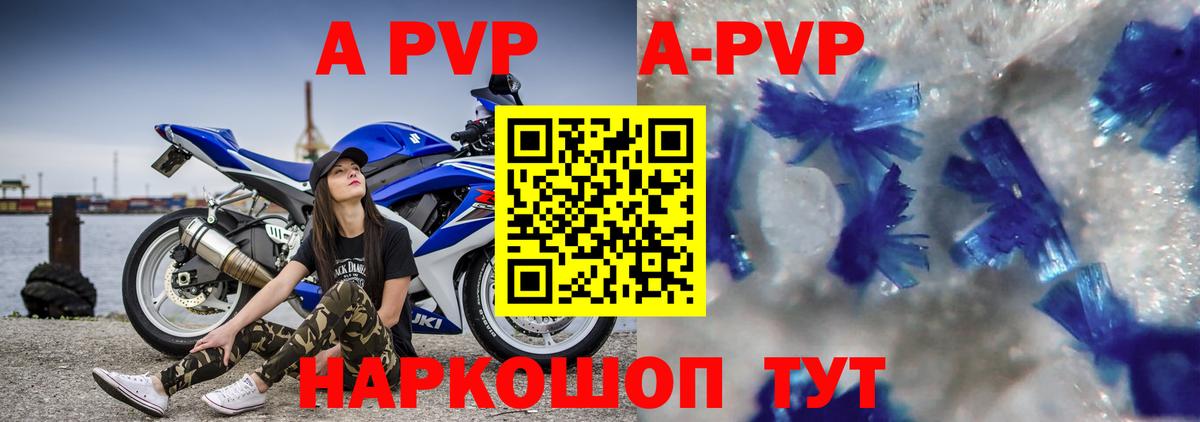 Альфа ПВП СК Кизилюрт