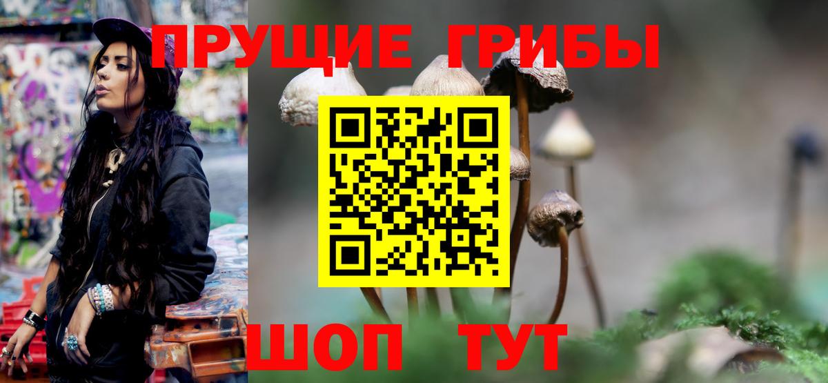 Кизилюрт  Галлюциногенные грибы Magic Shrooms  хочу наркоту  Псилоцибиновые грибы MAGIC MUSHROOMS  Вход с VPN 